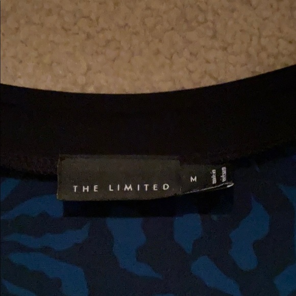 The Limited Top - Picture 3 of 7